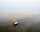 Salton sea, California