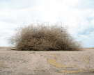 Salton sea, California